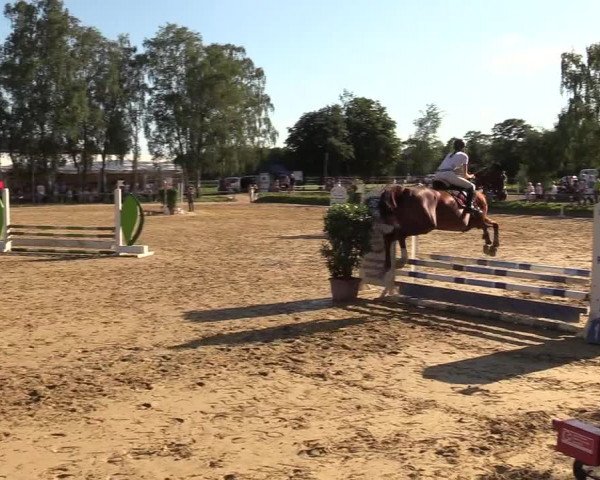 Reitturnier Herbern 2017