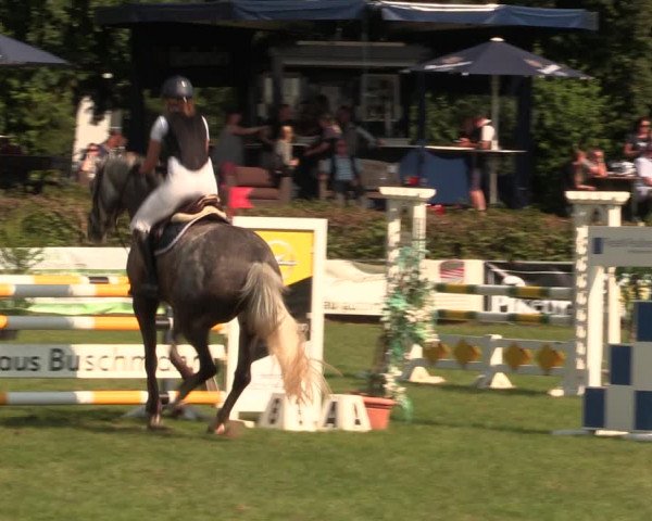 Reitturnier Vlotho-Exter 2017