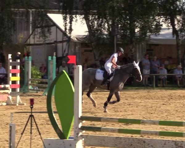 Reitturnier Herbern 2017