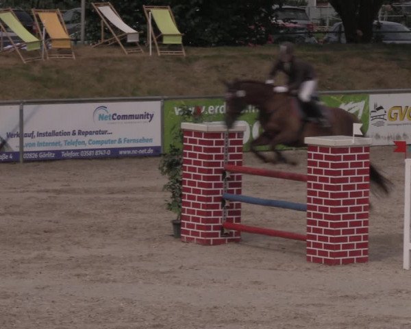 Reitturnier Görlitz 2017