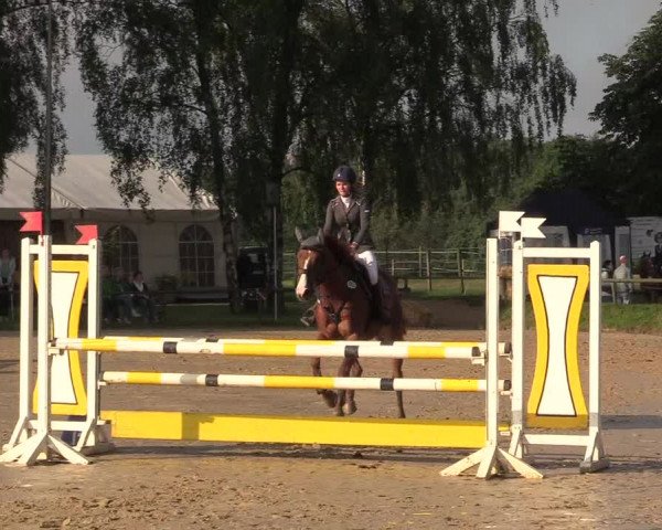 Reitturnier Herbern 2017