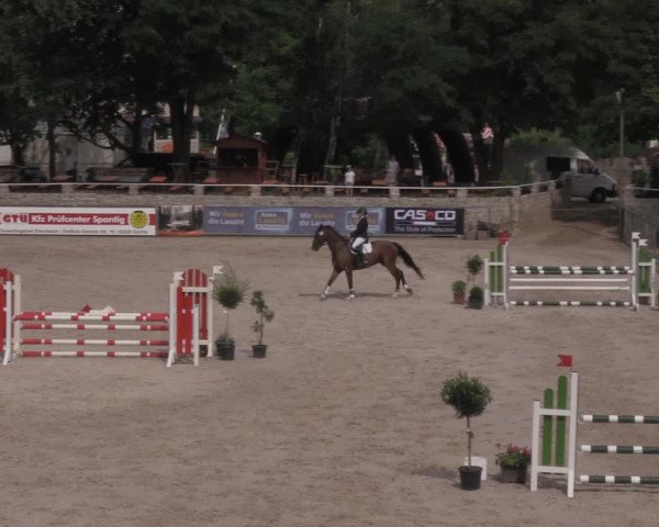 Reitturnier Görlitz 2017