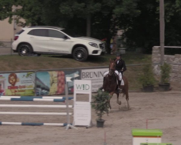 Reitturnier Görlitz 2017