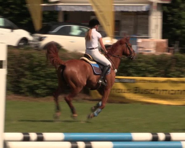 Reitturnier Vlotho-Exter 2017