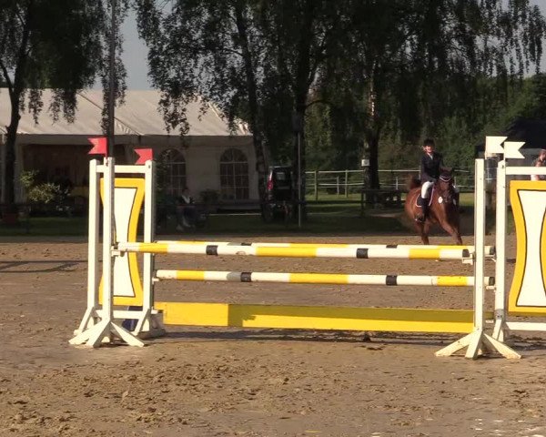 Reitturnier Herbern 2017