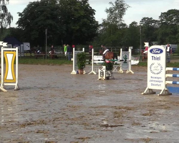 Reitturnier Herbern 2017