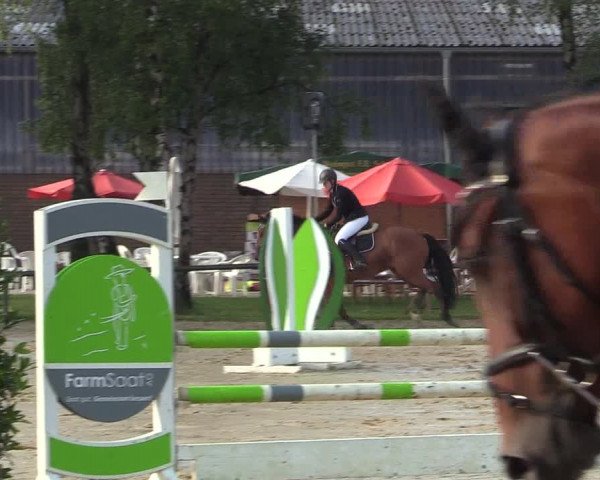 Reitturnier Herbern 2017
