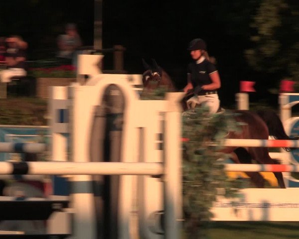 Reitturnier Vlotho-Exter 2017