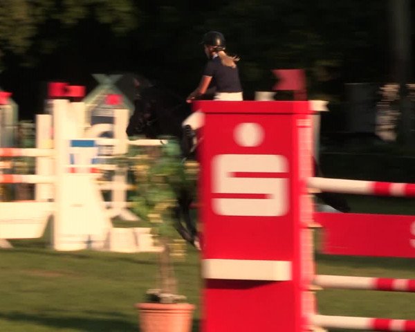 Reitturnier Vlotho-Exter 2017