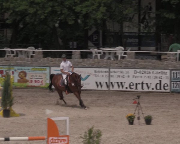 Reitturnier Görlitz 2017