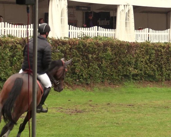 Reitturnier Vlotho-Exter 2017