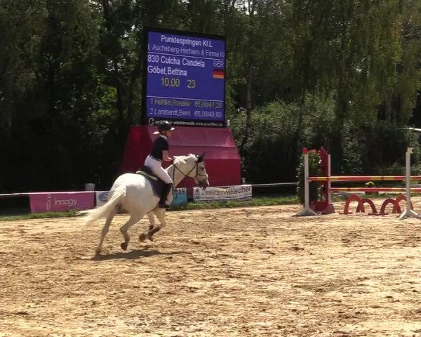 Reitturnier Herbern 2017