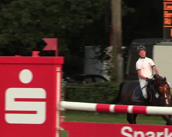 Reitturnier Vlotho-Exter 2017