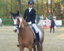 dressage horse Vivaro 4 (German Riding Pony, 2009, from Vincent)