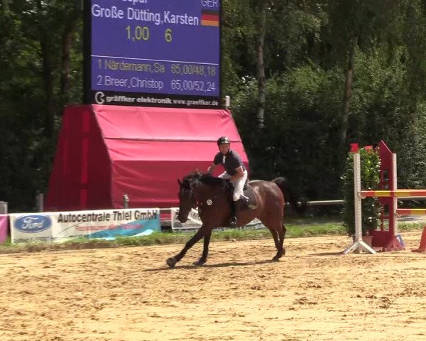 Reitturnier Herbern 2017