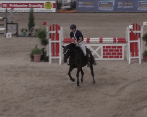 Reitturnier Görlitz 2017