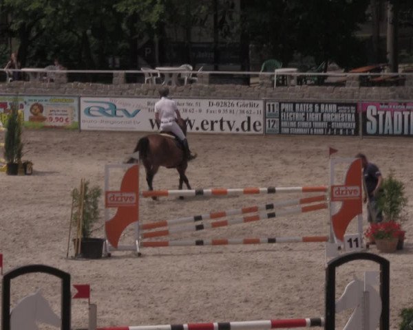 Reitturnier Görlitz 2017