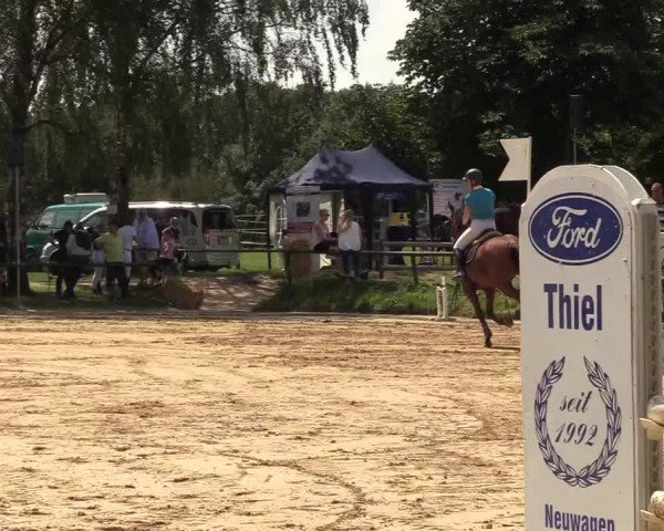Reitturnier Herbern 2017