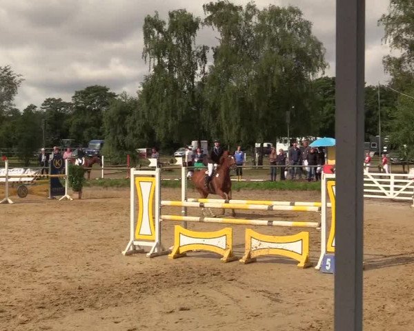 Reitturnier Herbern 2017