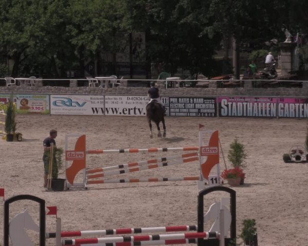 Reitturnier Görlitz 2017