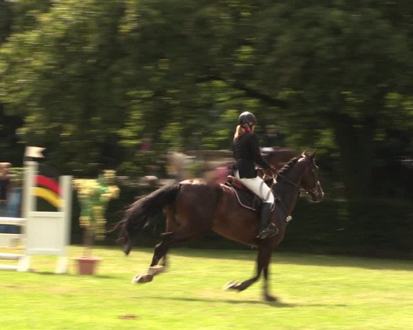 Reitturnier Vlotho-Exter 2017