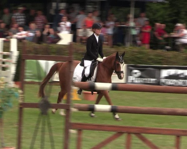 Reitturnier Vlotho-Exter 2017