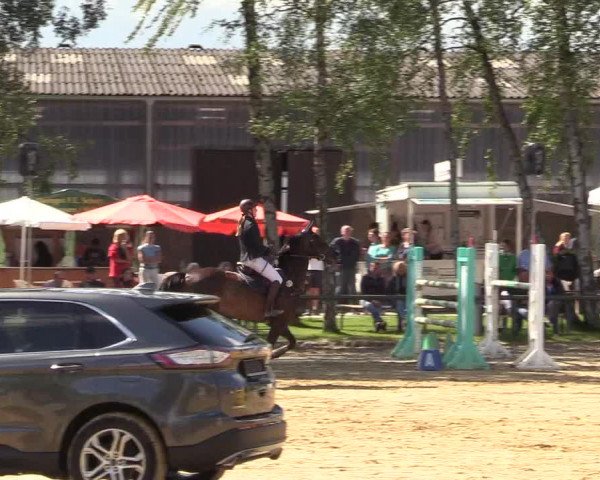 Reitturnier Herbern 2017