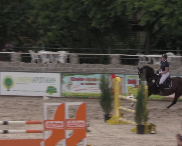 Reitturnier Görlitz 2017