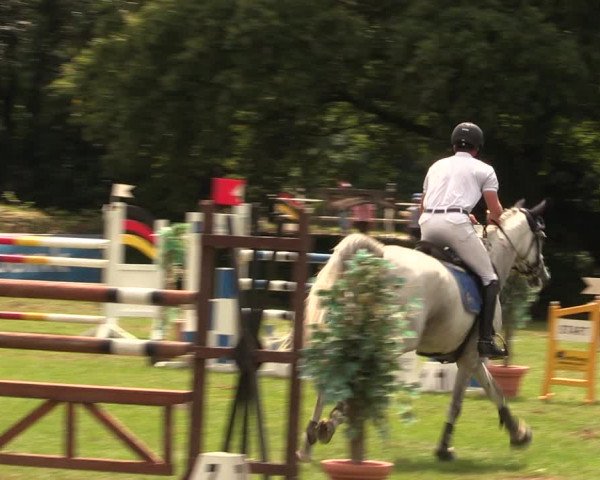 Reitturnier Vlotho-Exter 2017