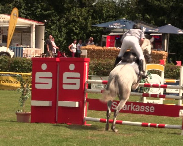 Reitturnier Vlotho-Exter 2017