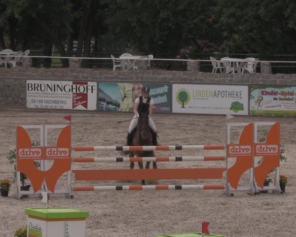 Reitturnier Görlitz 2017