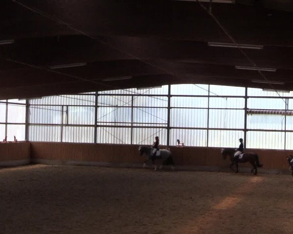 Reitturnier Herbern 2017