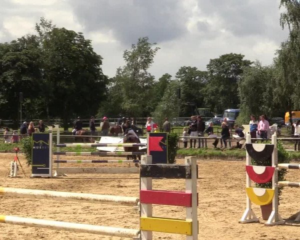 Reitturnier Herbern 2017