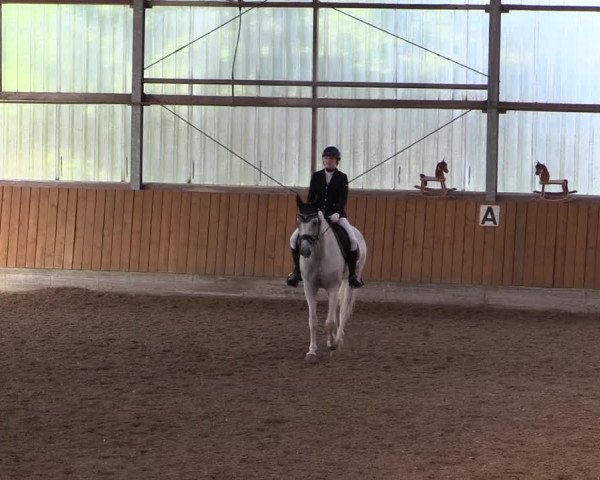 Reitturnier Herbern 2017