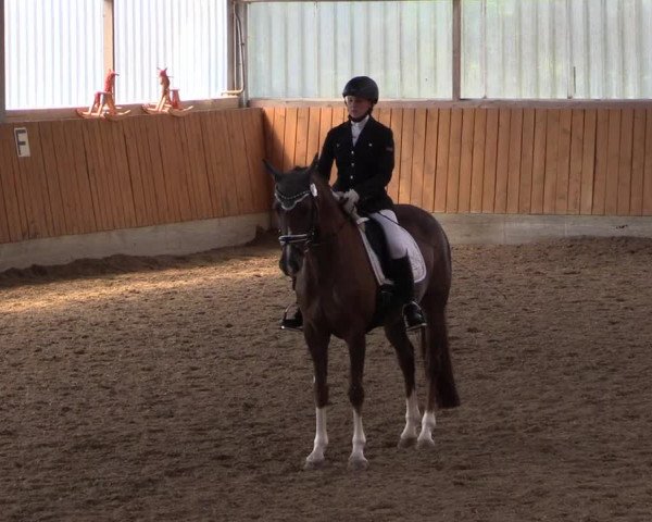 Reitturnier Herbern 2017