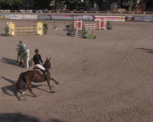 Reitturnier Görlitz 2017
