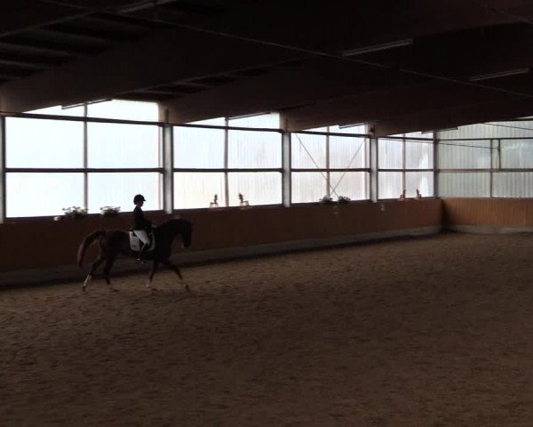 Reitturnier Herbern 2017