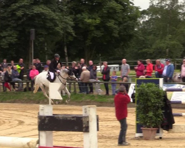 Reitturnier Herbern 2017