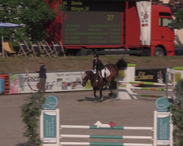 Reitturnier Görlitz 2017