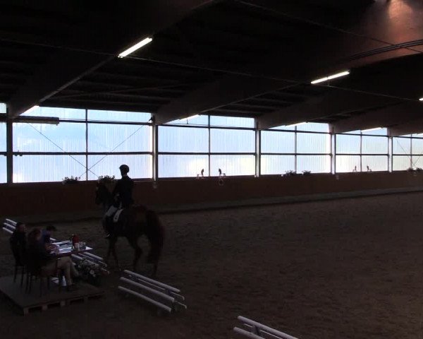 Reitturnier Herbern 2017