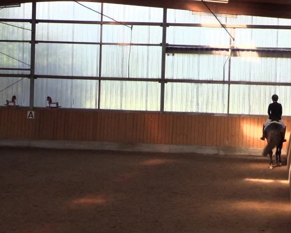 Reitturnier Herbern 2017