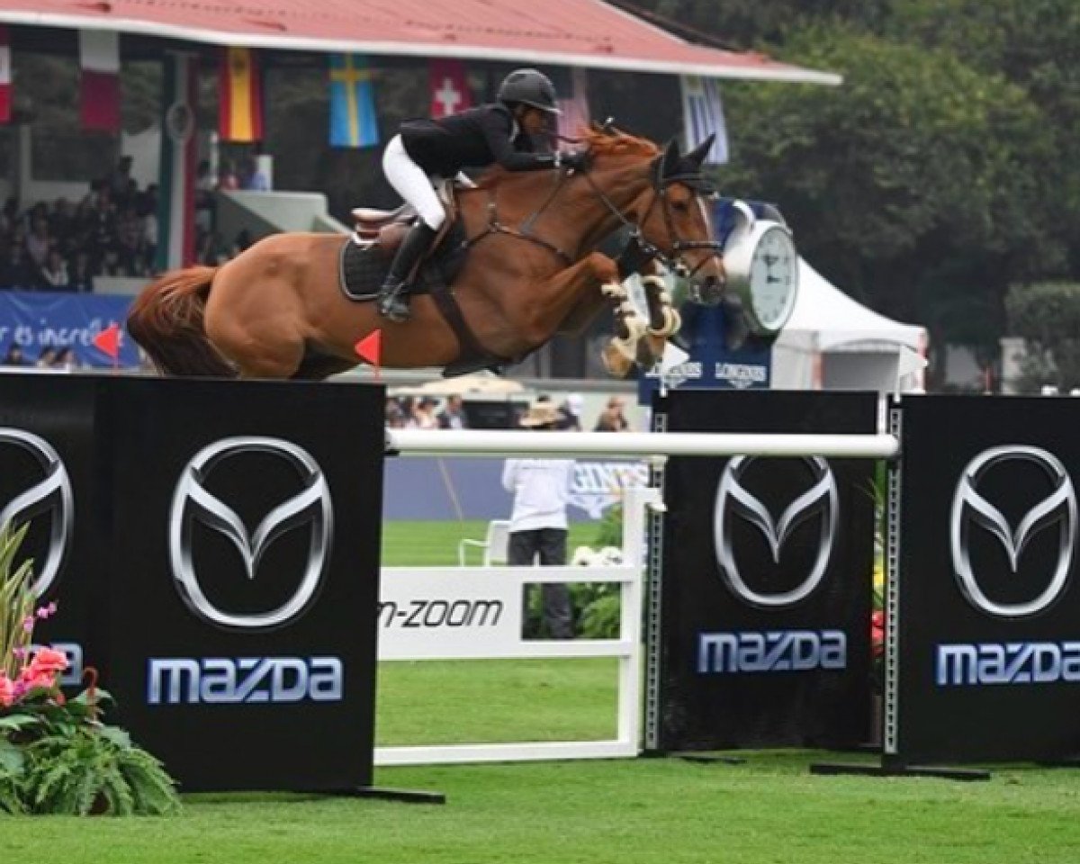 Yegua de cría Candy 665 (Holsteiner, 2003, de Quantum)