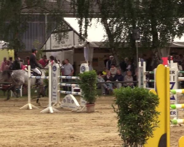 Reitturnier Herbern 2017