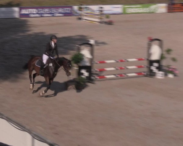 Reitturnier Görlitz 2017
