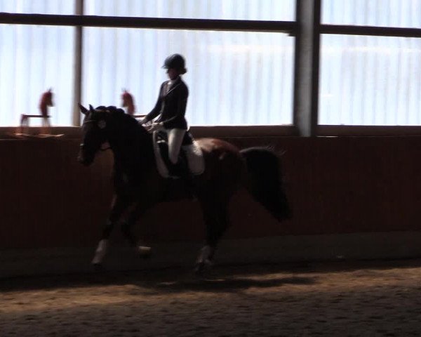 Reitturnier Herbern 2017