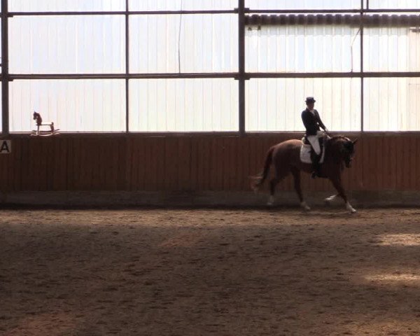 Reitturnier Herbern 2017