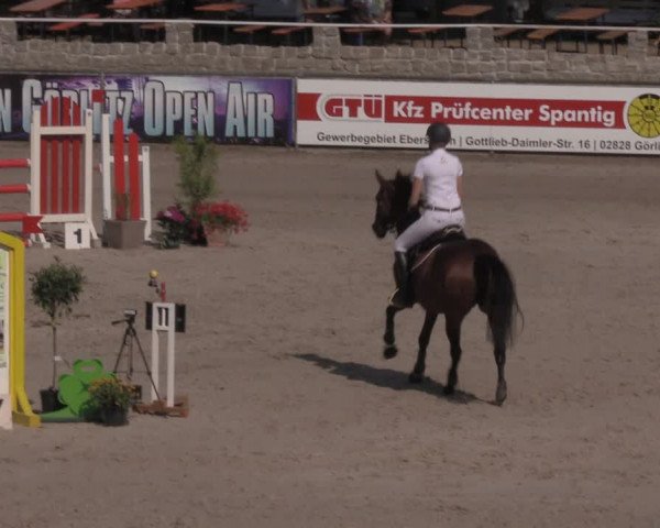 Reitturnier Görlitz 2017