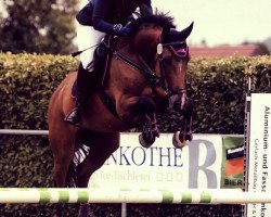 jumper Cor Royale (German Warmblood, 2009, from Cassini II)