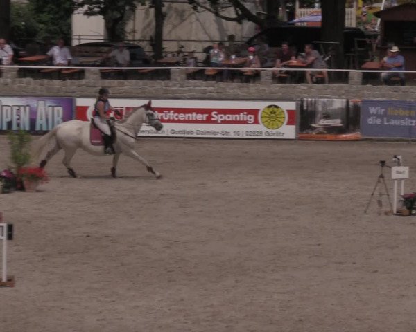 Reitturnier Görlitz 2017