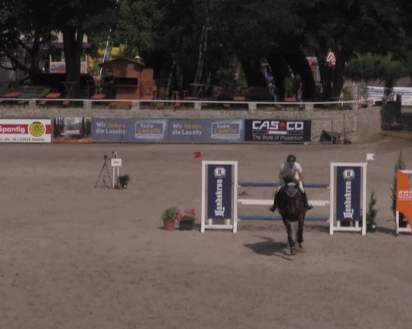 Reitturnier Görlitz 2017